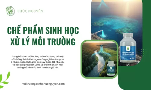 Chế Phẩm Sinh Học Xử Lý Môi Trường