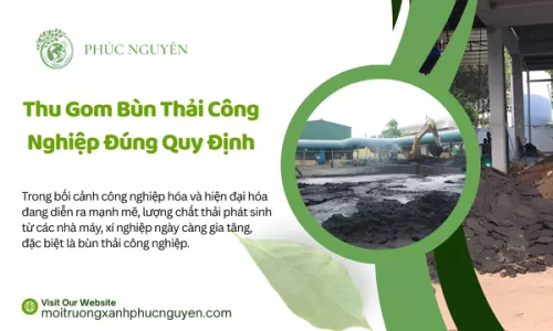 Thu Gom Bùn Thải Công Nghiệp Đúng Quy Định