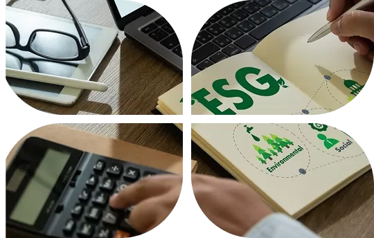 Công ty TNHH Môi Trường Xanh Phúc Nguyên