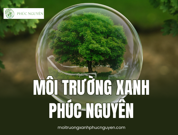 môi trường xanh phúc nguyên