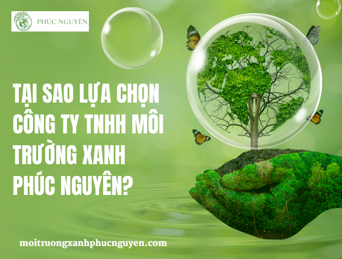 Tại Sao Lựa Chọn CÔNG TY TNHH MÔI TRƯỜNG XANH PHÚC NGUYÊN?