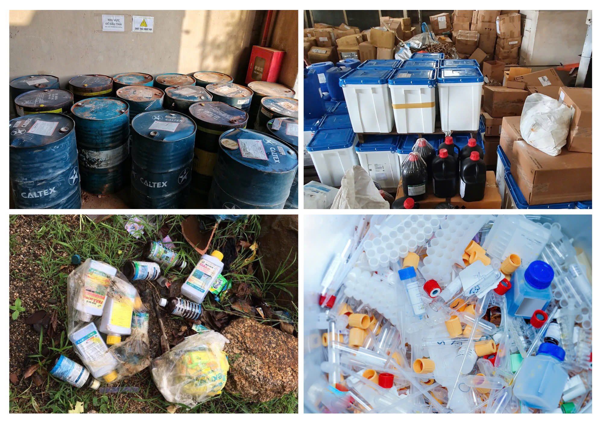 Hệ Sinh Thái Dịch Vụ Môi Trường Toàn Diện