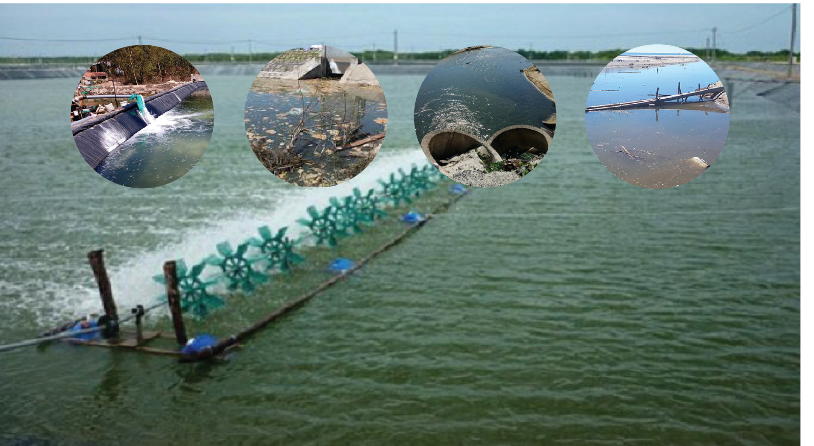 Chế Phẩm Sinh Học Xử Lý Môi Trường