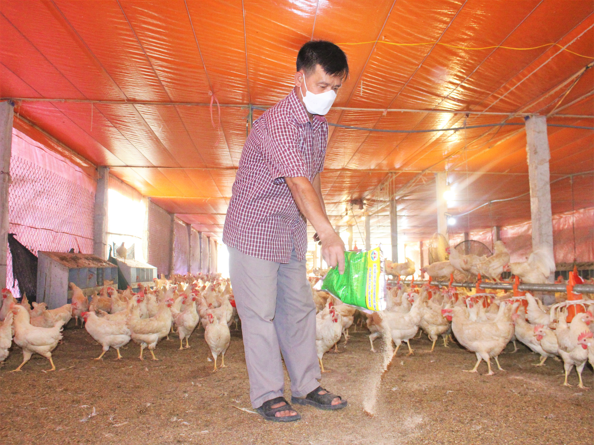 Chế Phẩm Sinh Học Xử Lý Môi Trường