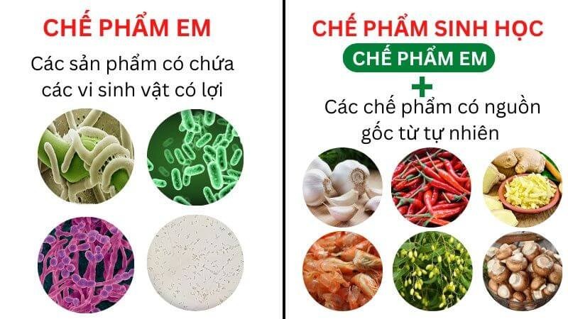 Chế Phẩm Sinh Học Xử Lý Môi Trường