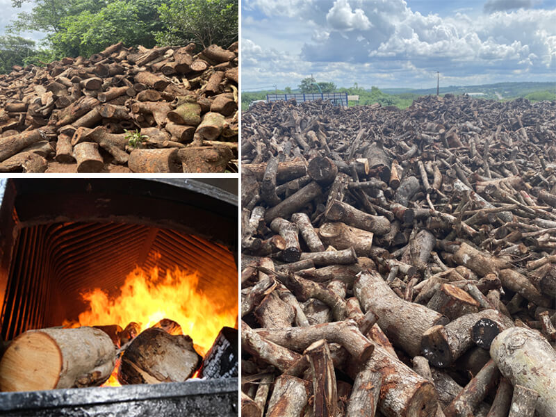 Cung Cấp Củi Đốt Lò Hơi Giá Tốt