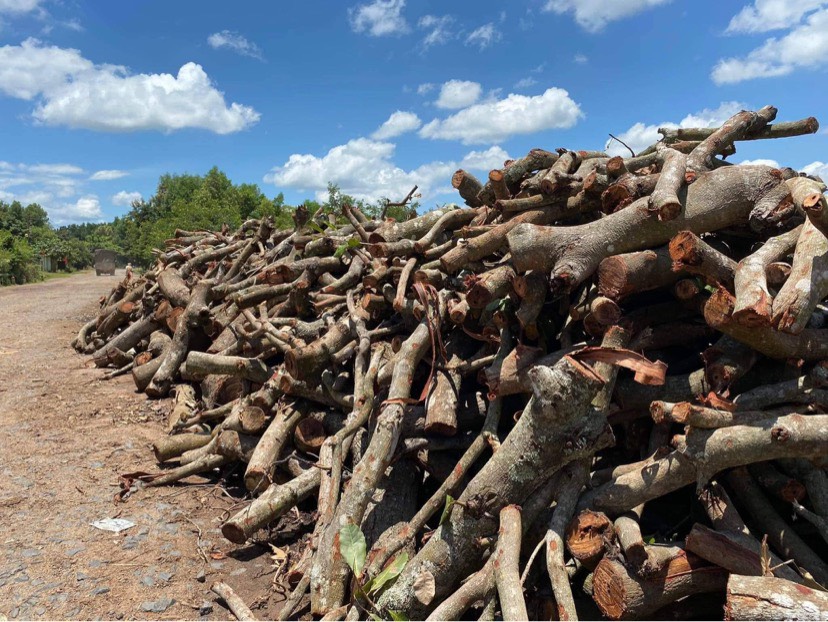 Cung Cấp Củi Đốt Lò Hơi Giá Tốt