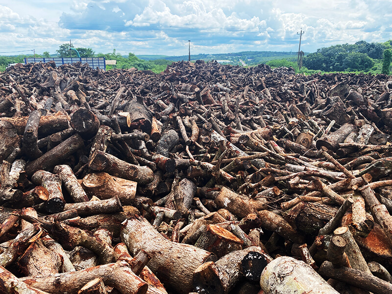 Cung Cấp Củi Đốt Lò Hơi Giá Tốt