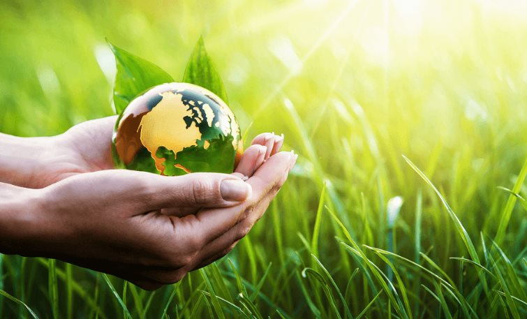 Đăng Ký Môi Trường Theo Nghị Định 08