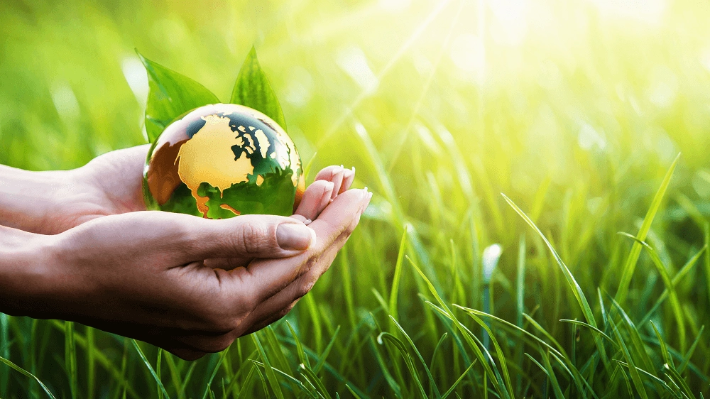 Lựa Chọn Đối Tác Chuyên Nghiệp Cho Hồ Sơ Môi Trường và Dịch Vụ Liên Quan